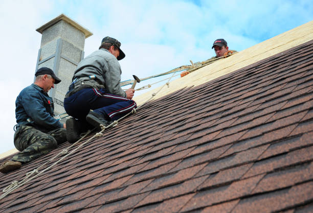 Best Roof Gutter Cleaning  in Ogdensburg, NJ